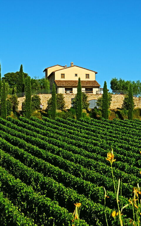 Villa Le Buche: Sommer, Udendørs, Visninger