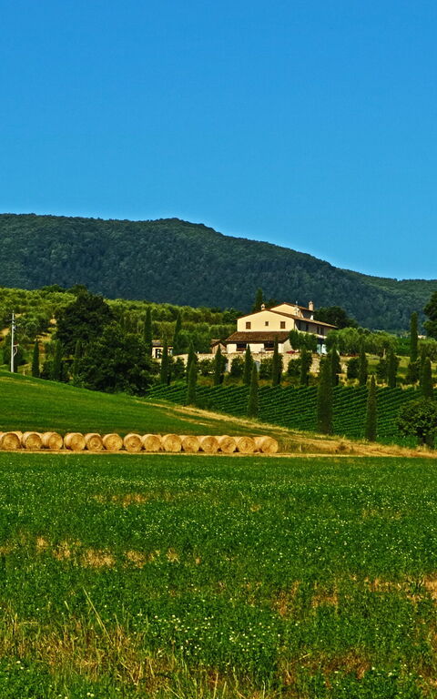 Villa Le Buche: Visninger