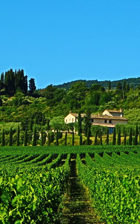 Villa Le Buche: Visninger