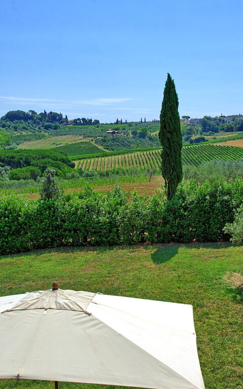 Nicola: Have, Visninger