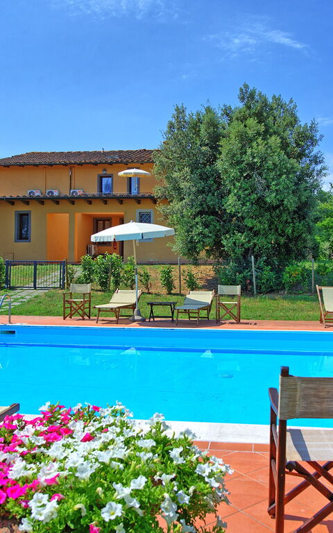 Nicola: pool, Sommer, Udendørs