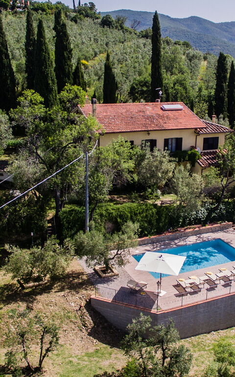 Casale Condottiero: Visninger