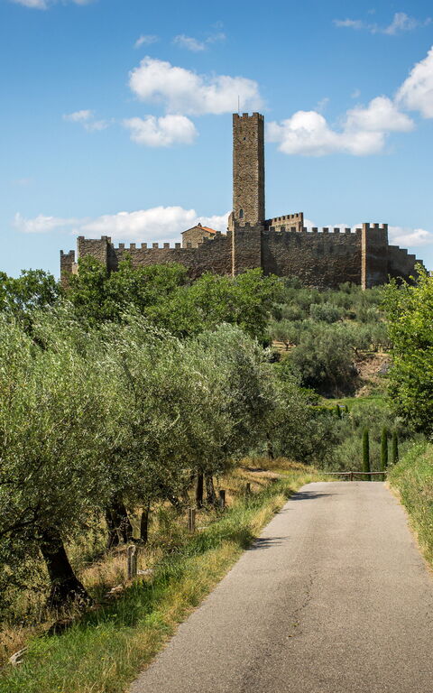 Casale Condottiero: Faciliteter, Visninger