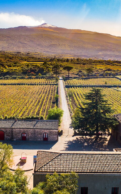 Etna Retreat: Udendørs, Visninger