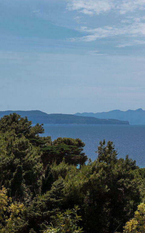 Villa Annalisa: Sommer, Visninger