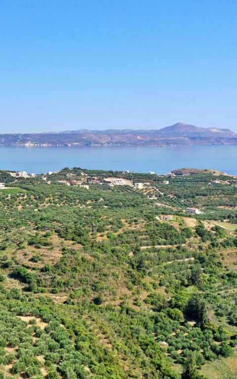 Villa Eftychia: Visninger