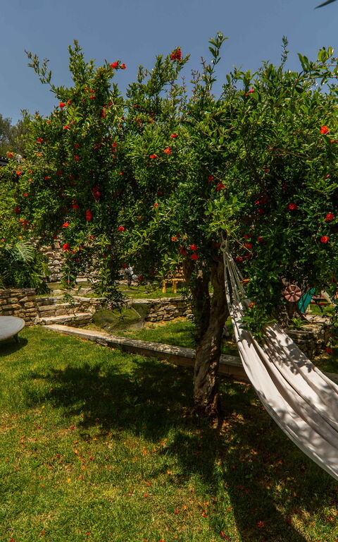 Villa Eftychia: Have, Udendørs