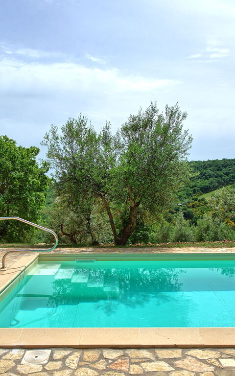 Villa Collina: pool