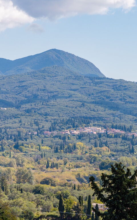 Villa Dinos: Visninger