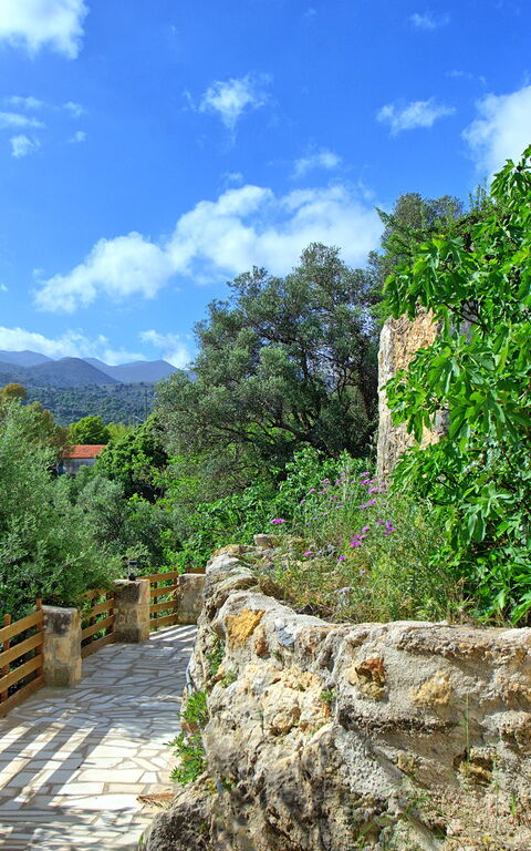 Villa Vicilla: Udendørs