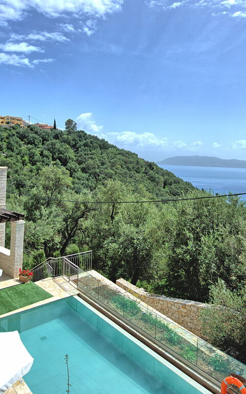 Villa Jacaranda: pool