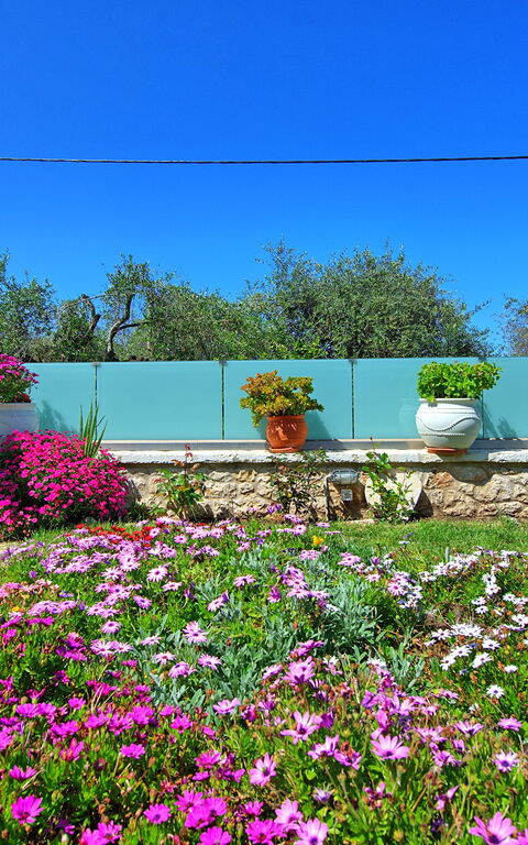 Villa Elaia: Have, Udendørs