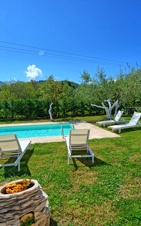 Villa Elaia: Have, pool, Udendørs