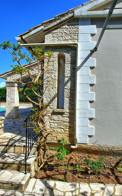 Villa Dimitris: Have, Udendørs