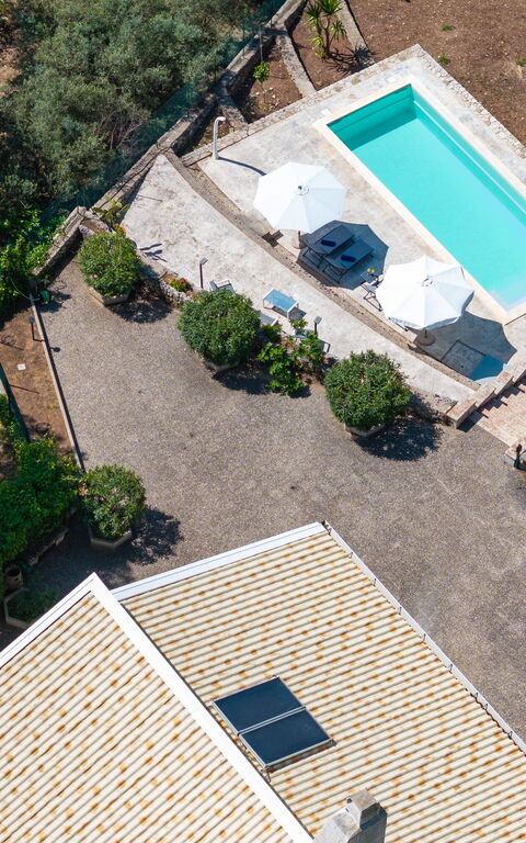 Nerodavola: pool, Udendørs, Udvendige
