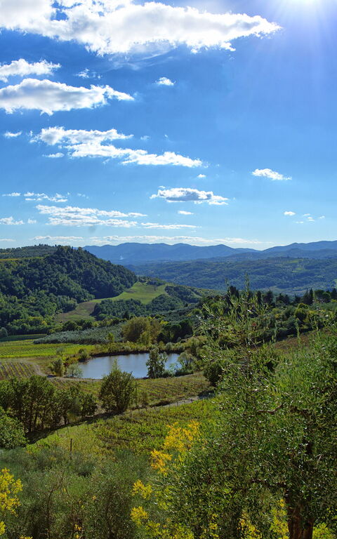 San Guido: Udendørs, Visninger