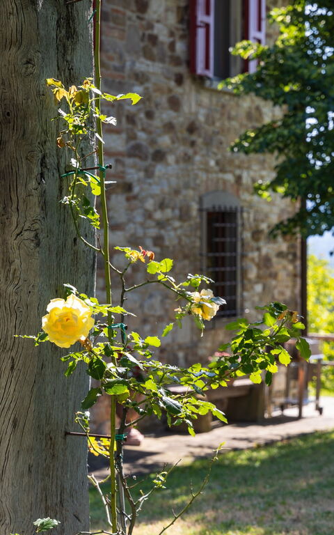 San Guido: Have, Udendørs, Udvendige