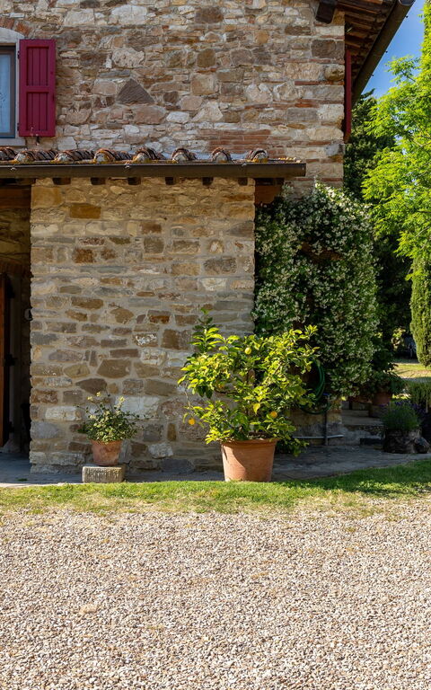 San Guido: Have, Udendørs, Udvendige