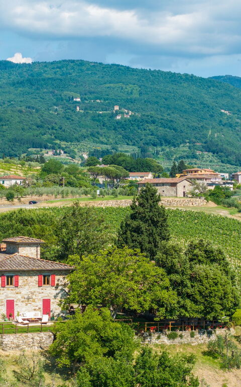 San Guido: Udendørs, Visninger