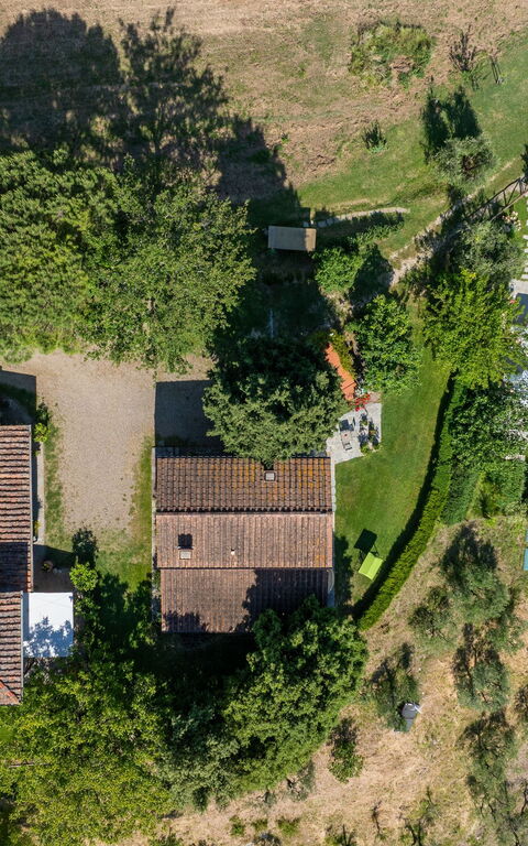 San Guido: Udendørs, Visninger