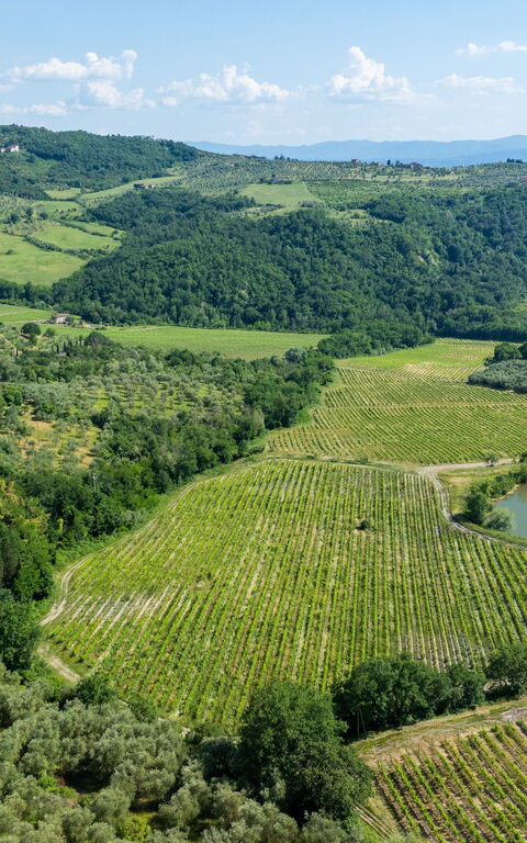 San Guido: Udendørs, Visninger