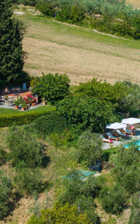 San Guido: Udendørs, Visninger