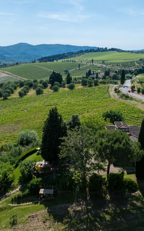 San Guido: Udendørs, Visninger