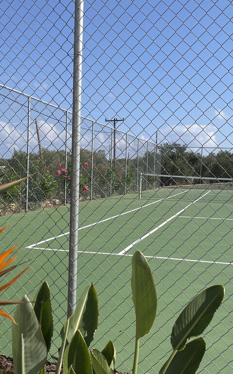 Villa Bluewhite: Aktiviteter