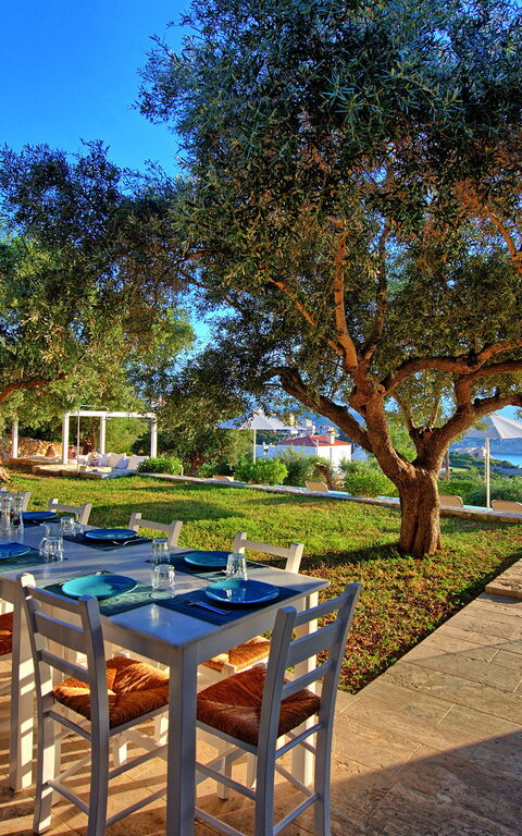 Villa Bluewhite: Have, pool, Sommer, Udendørs, Visninger