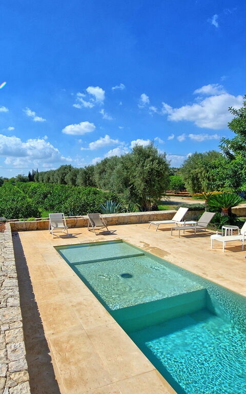 Tenuta Olearum: pool, Sommer