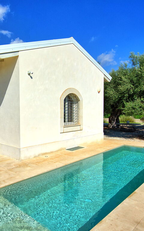 Tenuta Olearum: pool, Sommer