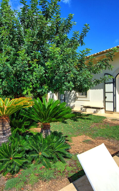 Tenuta Olearum: Have, Sommer, Udendørs