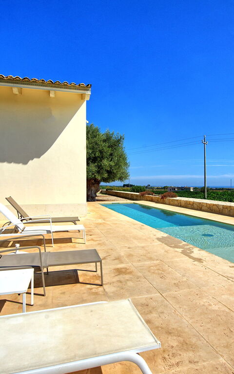 Tenuta Olearum: pool, Sommer, Udendørs