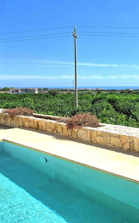 Tenuta Olearum: pool, Sommer, Udendørs