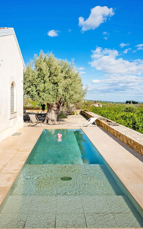 Tenuta Olearum: pool