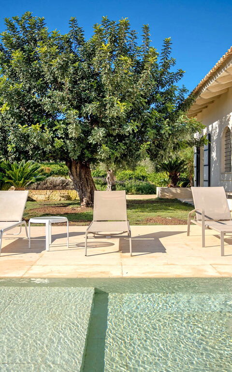 Tenuta Olearum: pool