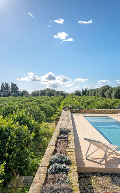 Tenuta Olearum: pool
