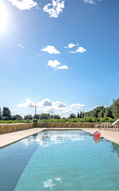 Tenuta Olearum: pool, Sommer, Visninger