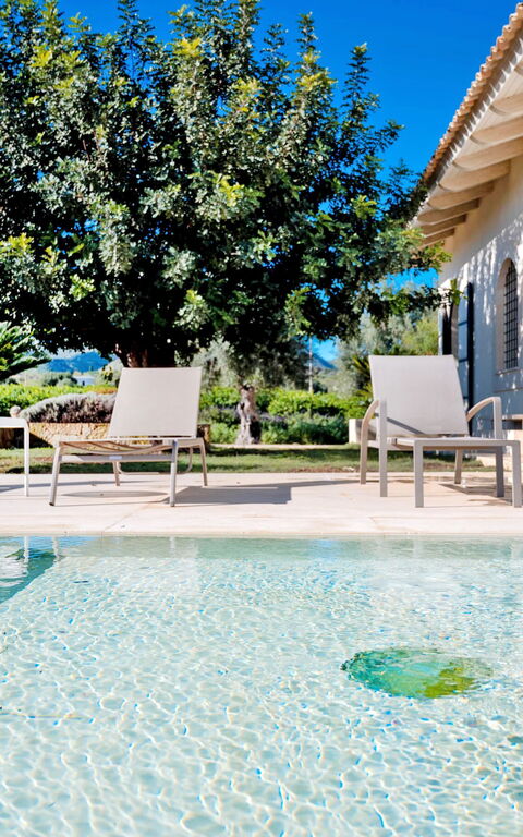 Tenuta Olearum: pool