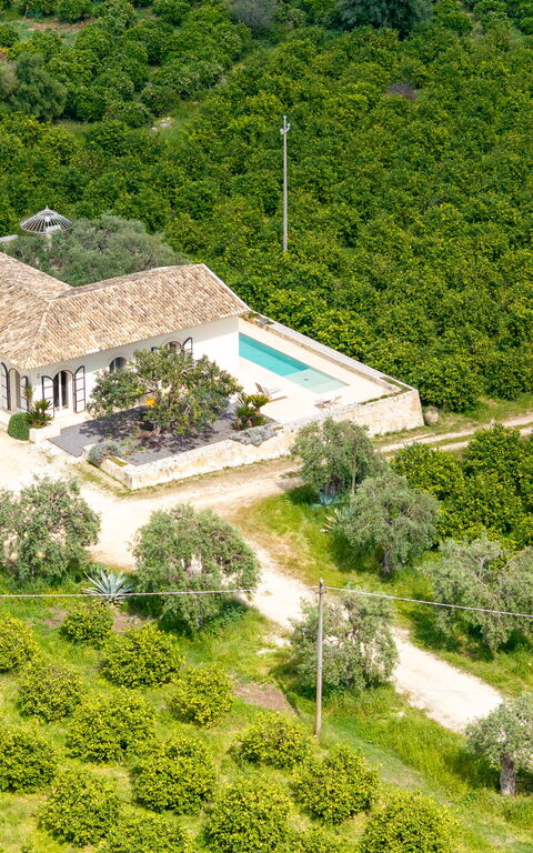 Tenuta Olearum: Visninger
