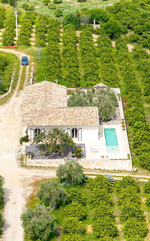 Tenuta Olearum: Visninger