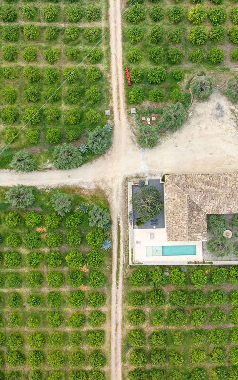 Tenuta Olearum: Visninger