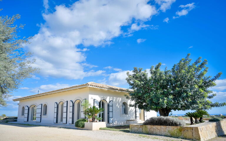 Tenuta Olearum: Have