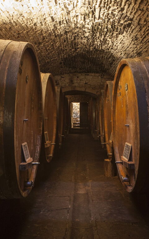 Villa Paneretta: Aktiviteter, Faciliteter