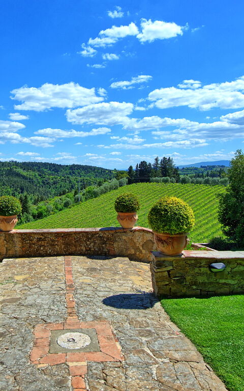 Villa Paneretta: Sommer, Udendørs