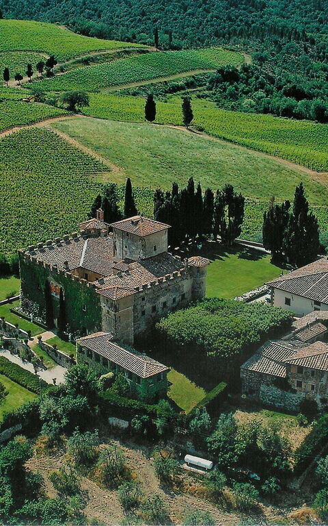 Villa Paneretta: Udendørs