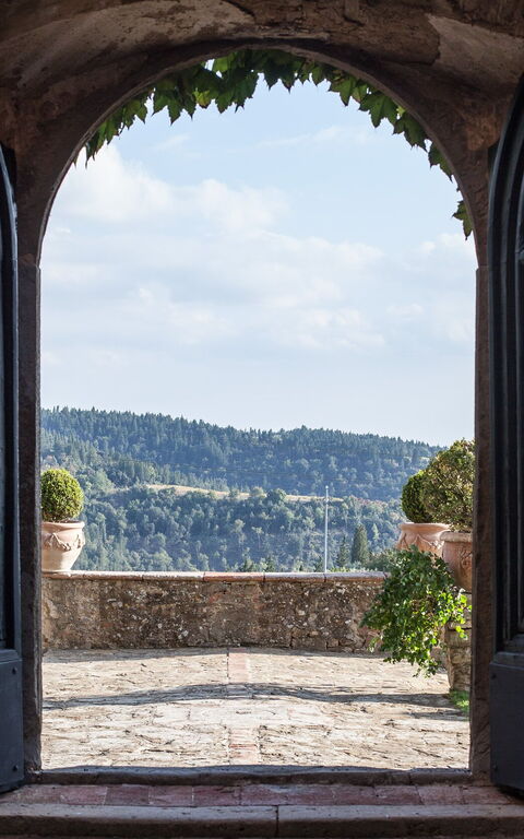 Villa Paneretta: Have, Udendørs