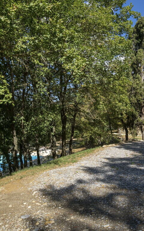 Villa Lucarella: Have, pool, Udendørs, Udvendige