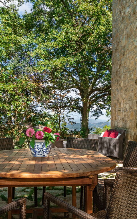 Villa Lucarella: Have, Udendørs, Udvendige