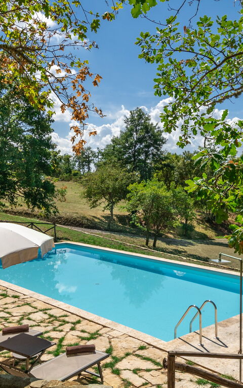Villa Lucarella: Have, pool, Udendørs
